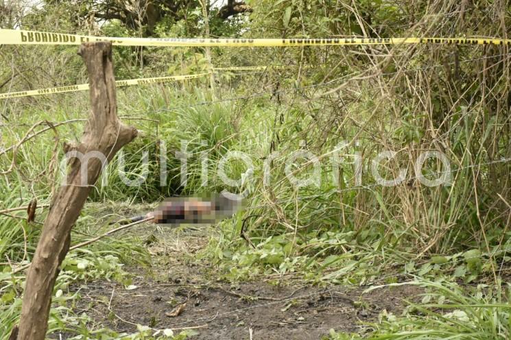 Una mujer de entre 25 y 30 años fue hallada muerta y en estado de putrefacción entre la maleza del camino vecinal que conduce del fraccionamiento Oasis a la localidad de Tejeria. 