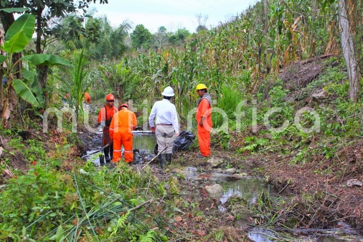 Otra fuga de hidrocarburo se registró en la comunidad Gustavo Díaz Ordaz, de la colonia 3 de Mayo, perteneciente al municipio de Papantla, contaminado una extensión de un terreno particular. 