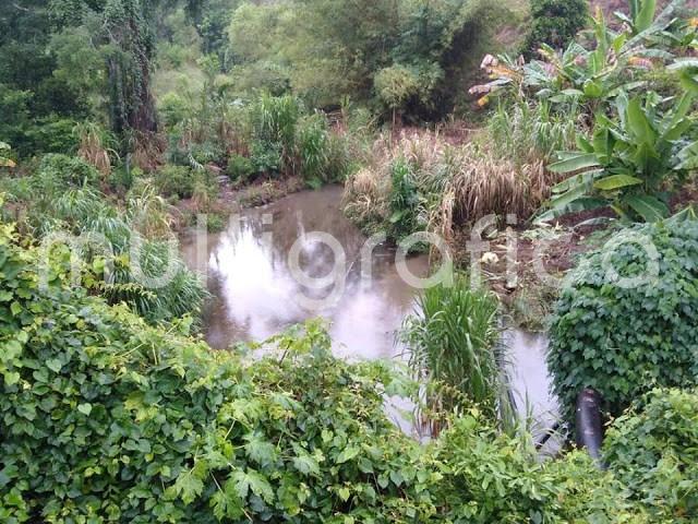 Nuevamente una fuga de hidrocarburo afectó un arroyo en una comunidad de Papantla; en esta ocasión fue en el Arroyo Verde, de Emiliano Zapata.