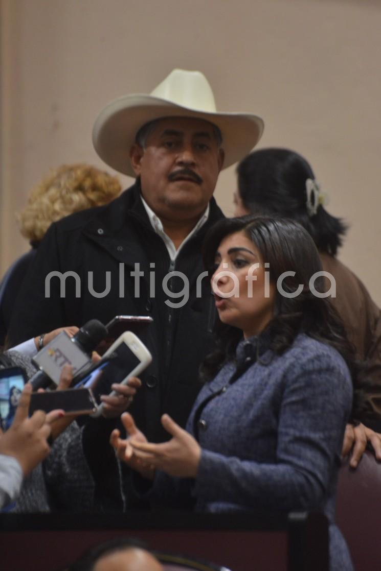 La diputada local Erika Ayala Ríos, coordinadora del Grupo Legislativo Mixto PRI-PVEM presentó una iniciativa para reformar el artículo 242 del Código Civil para el Estado de Veracruz, que permita garantizar pensiones alimenticias más justas y velar así por el interés superior de los menores, como lo mandata el orden jurídico nacional e internacional. 