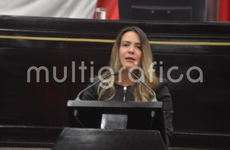 A nombre de la fracción legislativa del Partido Acción Nacional (PAN), la diputada Montserrat Ortega Ruiz, presentó la iniciativa de Ley Especial de Adopciones Anticipadas, que busca establecer diversas opciones para mujeres embarazadas que enfrentan alguna situación de vulnerabilidad o violencia.