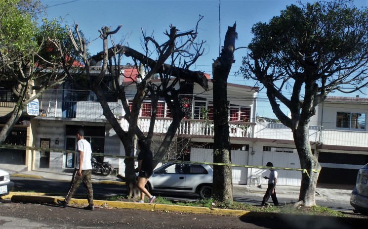 La noche de esta martes se prevee la llegada de una surada, y el miércoles un evento de Norte fuerte. Tome precauciones pues recién el domingo se dio la caída de ramas en varios árboles. 