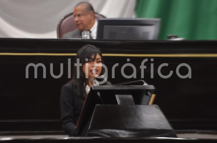 A nombre del Grupo Legislativo de Morena en el Congreso de Veracruz, la diputada Elizabeth Cervantes de la Cruz presentó la iniciativa de reforma al artículo 44 de la Ley de Desarrollo Integral de la Juventud que tiene como propósito establecer la obligación del Gobierno estatal de asignar un presupuesto que permita planear, promocionar y aplicar las actividades de atención y asistencia que coadyuven al desarrollo integral de la juventud.