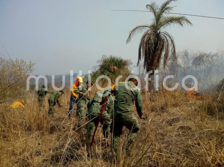 Las Secretarías de Protección Civil (PC) y del Medio Ambiente (SEDEMA), han intensificado los trabajos en prevención y atención de incendios ante la Temporada de Incendios Forestales 2019, que trae consigo condiciones propicias para el fuego en ecosistemas del territorio veracruzano.  