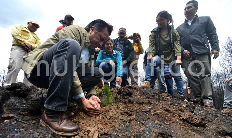 En el marco del Día Mundial del Medio Ambiente, el gobernador Cuitláhuac García Jiménez se comprometió a recuperar el Área Verde Reservada para la Educación Ecológica de San Juan del Monte, afectada por los incendios.