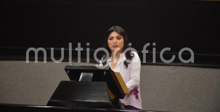 A nombre de los integrantes del Grupo Legislativo Mixto PRI-PVEM, la diputada Erika Ayala Ríos, presentó una Iniciativa de Decreto, para que las personas responsables de evaluar el desempeño de los juzgadores tengan los conocimientos y capacidad indispensables para realizar la función encomendada en la Constitución.