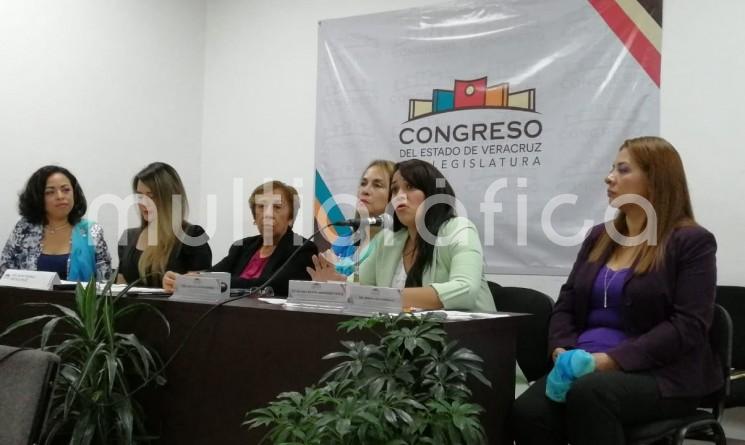 En conferencia, las diputadas Cristina Alarcón Gutiérrez, Brianda Kristel Hernández Topete y Montserrat Ortega Ruiz, anunciaron la realización del foro de Análisis y consulta <em>A un año de la ley TEA, avanzamos hacia el reglamento</em>.