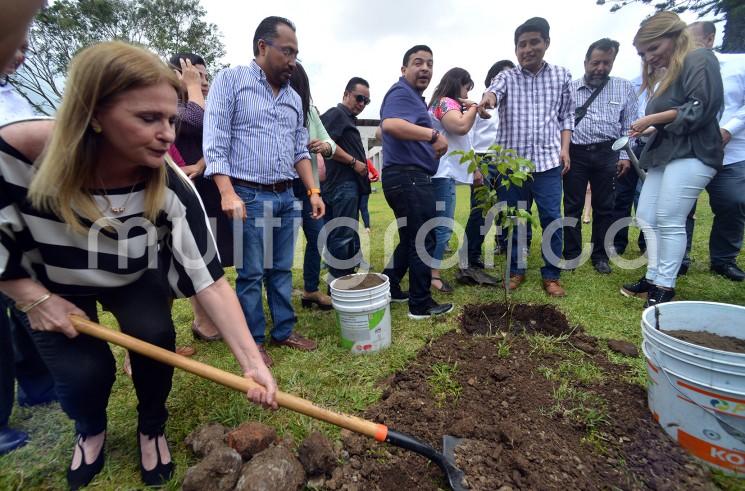 En el marco del Día del Árbol (celebrado en México el segundo jueves del mes de julio), el diputado Wenceslao González Martínez en seguimiento a su Anteproyecto de Punto de Acuerdo, presentado el pasado 9 de julio ante el Pleno de la LXV Legislatura, relativo al cuidado del medio ambiente y así promover acciones que contribuyan a combatir el cambio climático, plantó cinco árboles de especies originarias de la región, en el jardín del Congreso del Estado.