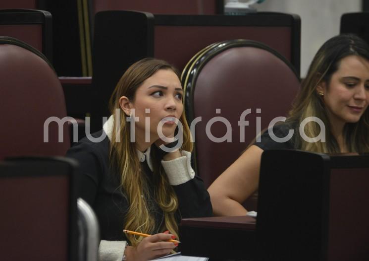 A nombre del Grupo Legislativo del Partido Acción Nacional (PAN) en el Congreso del Estado, la diputada María Graciela Hernández Íñiguez, presentó una iniciativa con proyecto de Ley de Fomento a la Actividad Artesanal para el estado de Veracruz de Ignacio de la Llave.  