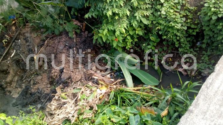 En Tlapacoyan realizan dragado de arroyos de respuesta rápida y canales para evitar afectaciones a la población.
