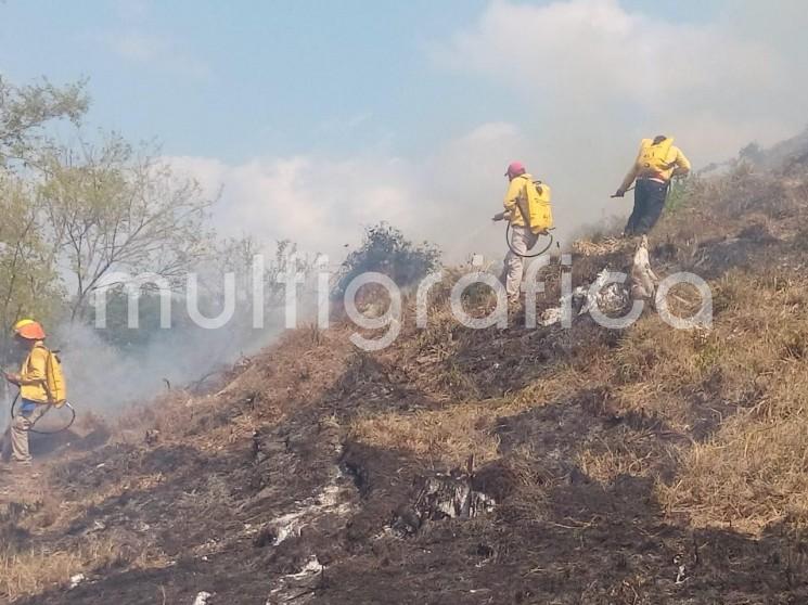 a Secretaría de Medio Ambiente (SEDEMA), a través de sus brigadas forestales, realiza una importante labor en el combate de incendios que ocurren en las zonas boscosas de la entidad, cumpliendo así con las metas del Protocolo de atención para combatir y controlar estos eventos y prevenir sus efectos.