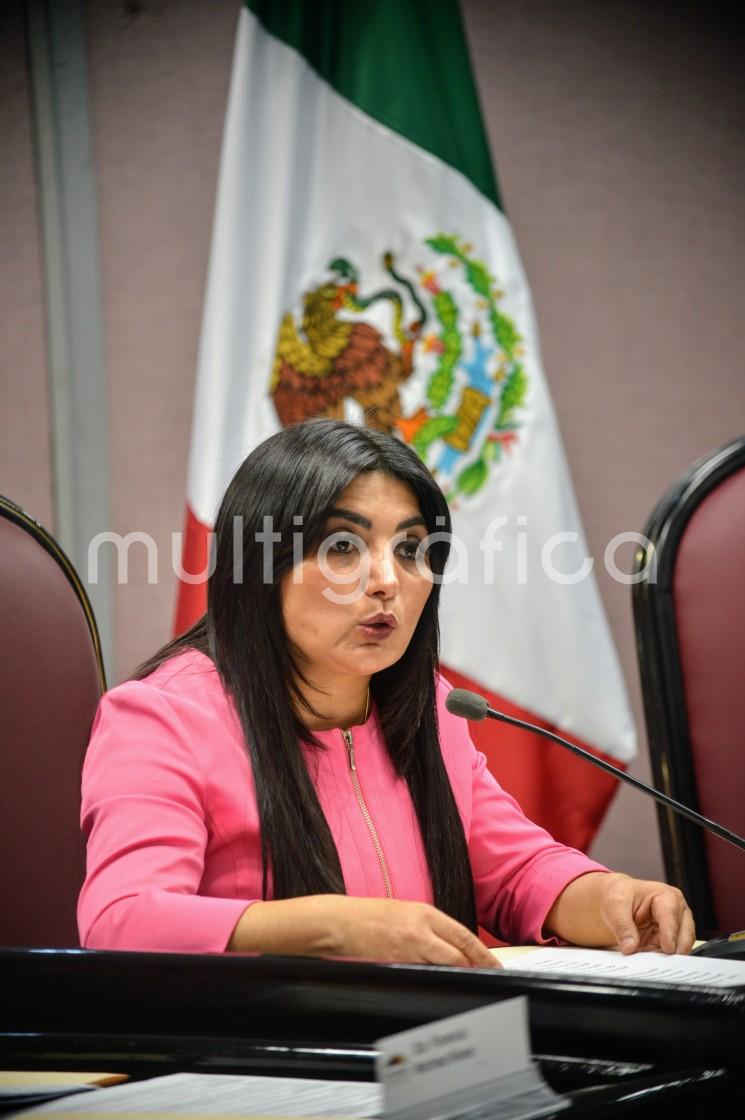 La diputada Érika Ayala íos presentó una iniciativa con el fin de evitar vacíos por tiempo indeterminado de agentes y subagentes municipales, para lo cual los Cabildos estarían facultados para llamar a los suplentes a la brevedad.