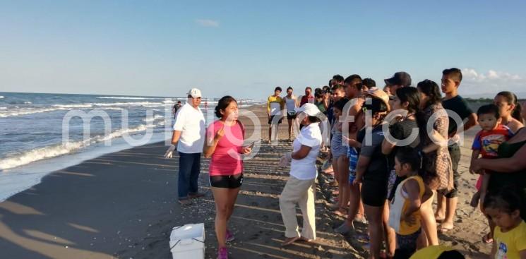 Con el objetivo de proteger la biodiversidad en el estado, la Secretaría de Medio Ambiente (SEDEMA) y el Fondo Ambiental Veracruzano (FAV), realizaron acciones para salvaguardar la vida de las tortugas marinas en las playas El Raudal del municipio de Nautla; así como en Laurel y Navarro, pertenecientes a Vega de Alatorre,entre las que se incluyeron pláticas de sensibilización.  