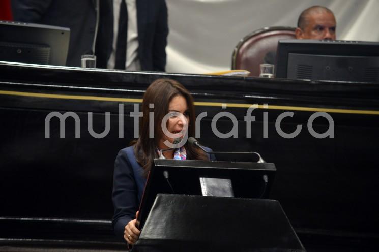 En voz de la diputada Mónica Robles Barajas, fue presentado ante el Pleno una iniciativa con proyecto de Ley Estatal de los Derechos de las Personas Mayores para el Estado de Veracruz, la cual tiene como objetivo mandatar a las instituciones y órdenes de gobierno, al cumplimiento de todas las acciones, planes, programas, distribución de recursos públicos necesarios, que impulsen 