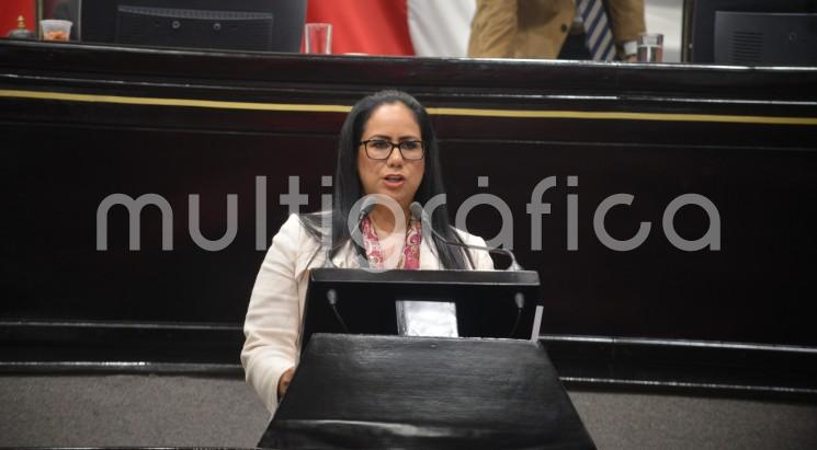 La diputada María Esther López Callejas, presentó una Iniciativa con proyecto de decreto que adiciona diversas disposiciones a la Ley Orgánica del Poder Ejecutivo del Estado y al Código Penal estatal, con la finalidad de regular las acciones que llevan a cabo las personas que se dedican al oficio de cerrajería.