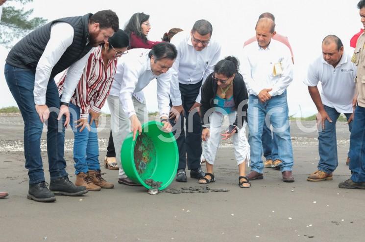 En la localidad Raudal de las Flores, participó en la liberación de aproximadamente 600 ejemplares y realizó un recorrido para conocer las principales acciones de monitoreo y conservación, además de futuros proyectos de investigación. 