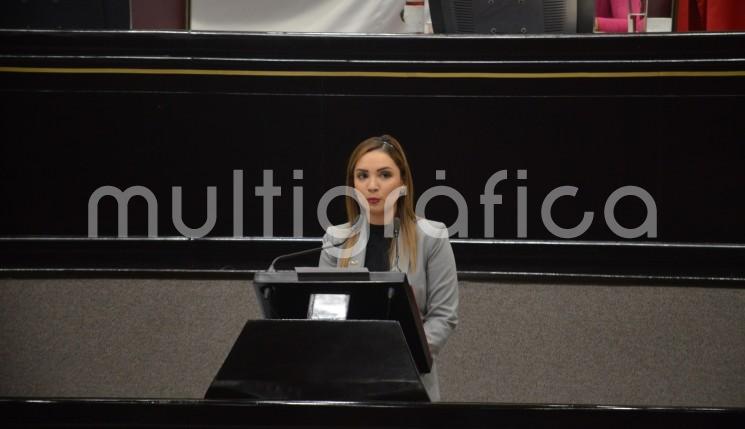 La diputada María Graciela Hernández Íñiguez presentó ante el Pleno una iniciativa que adiciona la fracción VI al artículo 39 y la fracción XXIV al artículo 45, de la Ley de Desarrollo Integral de la Juventud que tiene como propósito involucrar a los jóvenes en la preservación del medio ambiente sustentable.