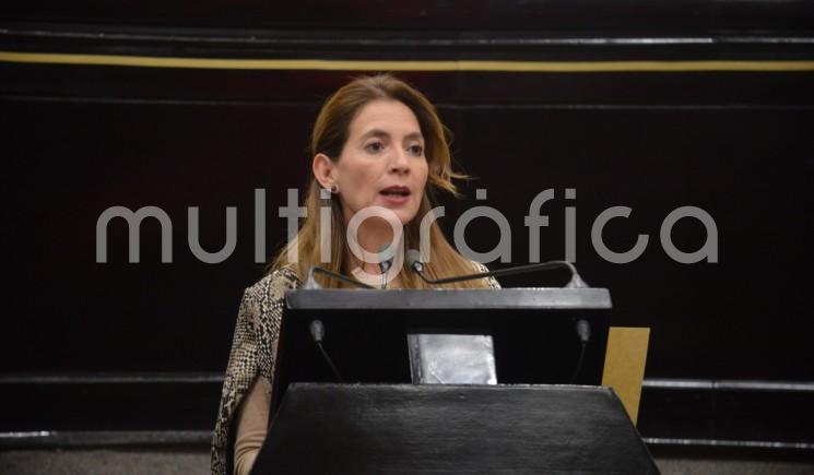 La diputada Ana Miriam Ferráez Centeno, en nombre del Grupo Legislativo de Morena, presentó la Iniciativa de Ley que Regula la Prestación de Servicios para la Atención, Cuidado y Desarrollo Integral Infantil en el Estado.  