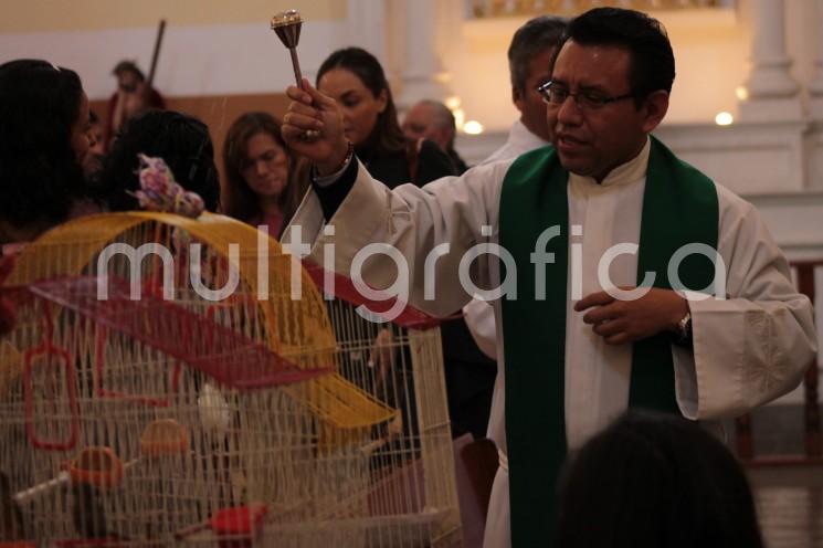 Al celebrarse el 17 de enero la festividad de San Antonio Abad, se llevó a cabo en la iglesia de Los Corazones, de la ciudad de Xalapa, la bendición de animales. 