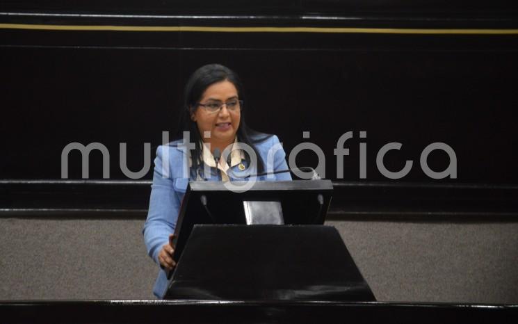 En tribuna, la legisladora Adriana Paola Linares Capitanachi planteó reformas a la Ley de los Derechos de Niñas, Niños y Adolescentes del Estado, para incorporar, en la ley, la perspectiva de la infancia y la adolescencia.  