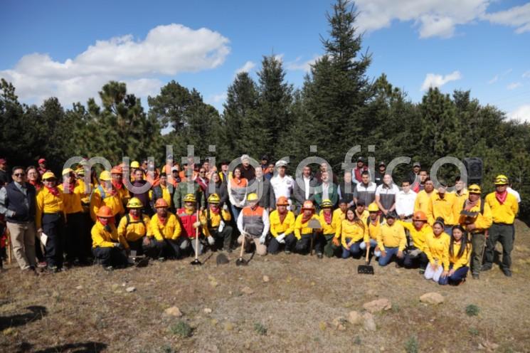 El gobernador Cuitláhuac García presentó la Estrategia de Combate a Incendios Forestales; Pide a la población un manejo responsable del fuego, pues un 70 por ciento de los siniestros ocurridos en 2019 pudo haberse evitado. 
_*Este año, la fuerza de tarea es de 382 elementos, entre brigadistas estatales y combatientes rurales