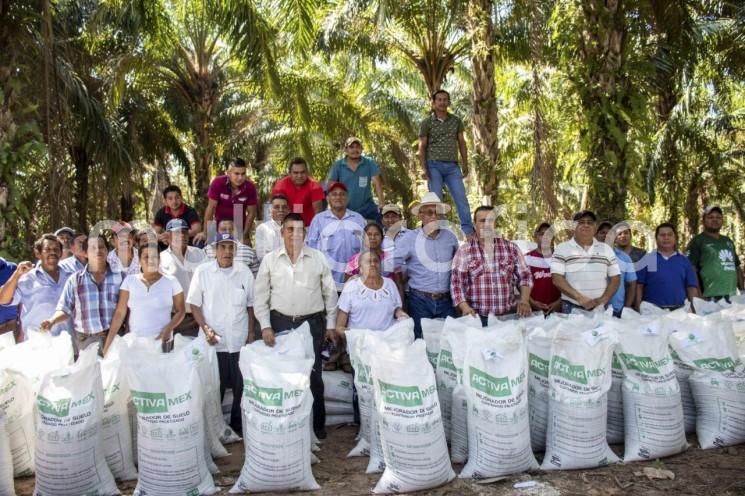 La Secretaría de Desarrollo Agropecuario, Rural y Pesca (SEDARPA) proporcionó 51 toneladas de fertilizante “Triple 17” a cerca de mil 500 productores de aceite de palma de aceite de 173 comunidades, en San Juan Evangelista, Mecayapan, Cosoleacaque, Tatahuicapan, Hidalgotitlán y Hueyapan. 