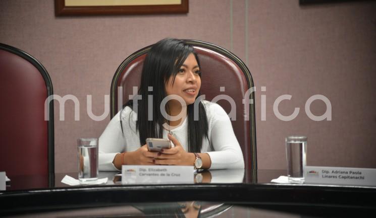 Durante la sesión de la Diputación Permanente, la diputada de MORENA, Elizabeth Cervantes, propuso castigar con cárcel a quienes renuncien a su empleo o pidan licencia sin goce de sueldo sólo para no pagar pensión alimenticia. También abordaron distintas autorizaciones para alcaldías.