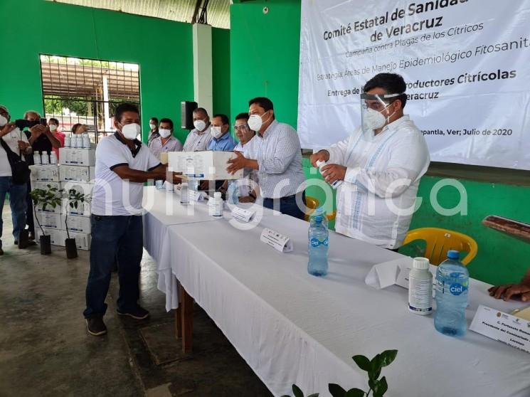 Con el apoyo del Servicio Nacional de Sanidad, Inocuidad y Calidad Agroalimentaria (SENASICA), Veracruz monitorea la presencia de la langosta centroamericana en la zona de la Huasteca, plaga que puede afectar a más de 400 especies vegetales.