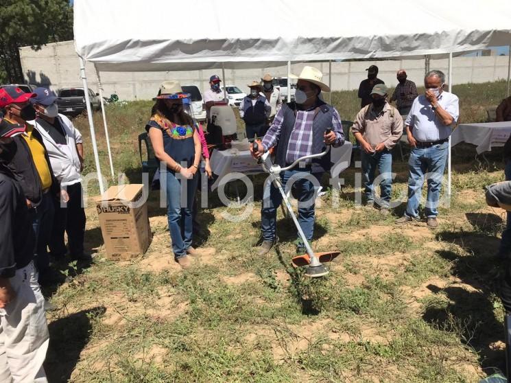 Durante el primer semestre del año, 500 familias de 11 municipios de las Altas Montañas, incorporadas a los Proyectos de Desarrollo Territorial (PRODETER), han sido favorecidas con 10 millones de pesos; principalmente en Totutla, donde hay cinco viveros comunitarios que producirán poco más de 250 mil matas de café. 