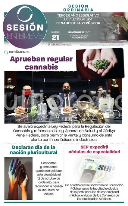 El Pleno del Senado aprobó en lo general, con 82 votos a favor, 18 en contra y siete abstenciones, el dictamen por el que se expide la Ley Federal para la Regulación del Cannabis, y se reforman y adicionan diversas disposiciones de la Ley General de Salud y del Código Penal Federal. 