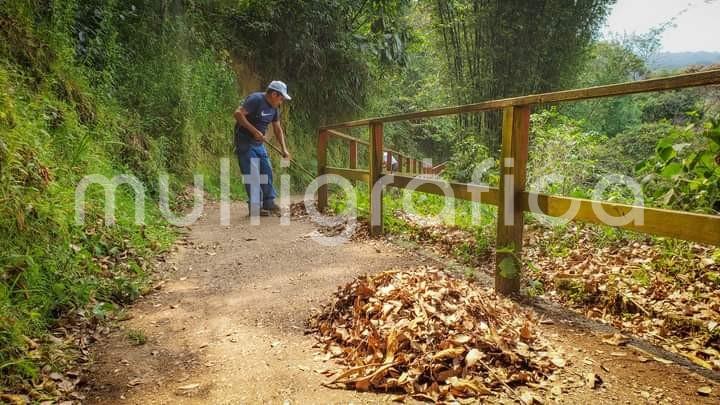 Protección Civil Teocelo en coordinación con las distintas áreas del H. Ayuntamiento inician estrategia de prevención y jornadas de mantenimiento en el mirador de Santa Rosa, Sendero del Ocelote, andadores y espacios públicos de la comunidad.