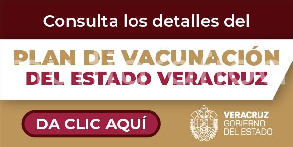 http://coronavirus.veracruz.gob.mx/plan-de-vacunacion-contra-covid-19/