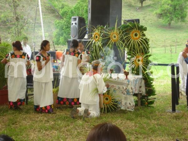 El Museo Teodoro Cano presenta, en modalidad virtual, la charla <em>Chicomexochitl en Colatlán, la fiesta de las flores</em>, que compartirá la antropóloga Araceli Espinosa Carreón, el próximo lunes 7 de junio, a las 18:00 horas, a través de la página de Facebook @MuseoTeodoroCano.