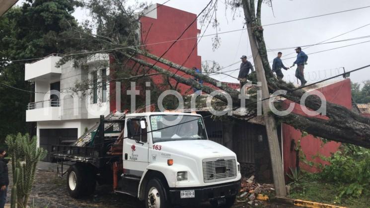 Diversas afectaciones dejó en la ciudad de Xalapa el paso del huracán Grace. Autoridades recomiendan continuar realizando medidas preventivas, acatar instrucciones de autoridades locales y consultar actualizaciones meteorológicas. 