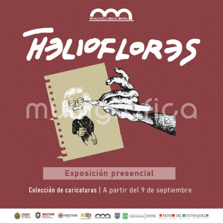 El Instituto Veracruzano de la Cultura, en colaboración con el Museo del Estanquillo de la CDMX, presentan la exposición Helioflores, una retrospectiva sobre el trabajo de este destacado caricaturista realizada por el también profesional del dibujo satírico Rafael Barajas Durán, El Fisgón.