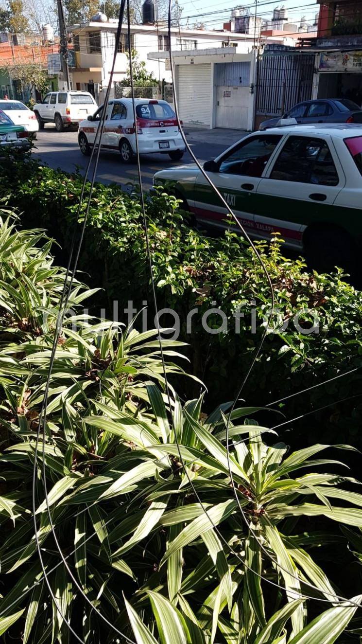 Derivado de un incidente de tránsito ocasionado por una camioneta particular, el servicio de internet que abastece a los módulos de pago del Predial y Derecho de Limpia Pública instalados en Plaza Crystal y en la Benemérita Escuela Normal Veracruzana (BENV) Enrique C. Rébsamen sufrieron una interrupción momentánea en su funcionamiento.