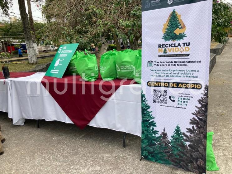 Con el fin de promover la cultura del reciclaje entre la población y darle una disposición final adecuada a los pinos que se utilizaron durante la temporada decembrina, el Ayuntamiento de Xalapa se suma a la campaña Recicla tu Navidad 2022.