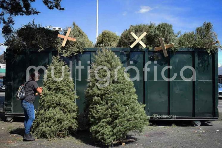 Este 14 de enero inicia en Tlapacoyan el programa Recicla tu Navidad.