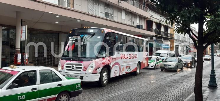 Tres nuevas rutas de autobuses del transporte público, darán servicio exclusivamente a las mujeres en la ciudad de Xalapa. Con esto ya sumarán cuatro unidades con el programa <em>Viaja Segura</em>.
De acuerdo con el presidente del Consejo de Administración del Servicio Urbano de Xalapa (SUX), Guillermo Baizabal Jiménez se trata de un programa exitoso en la capital veracruzana.