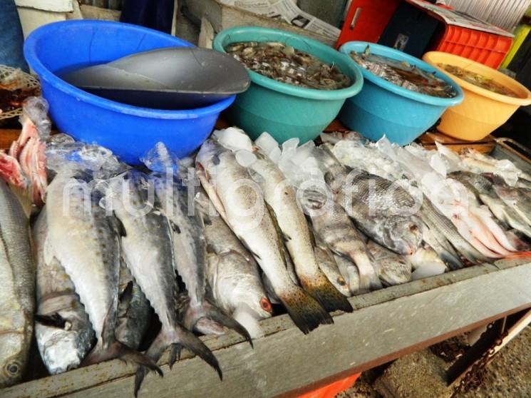 A decir de los locatarios del Mercado Municipal de Tlapacoyan, Ver., con la proximidad de la Cuaresma la demanda de productos del mar como pescados y mariscos se incrementa hasta en un 25 por ciento, en comparación del resto del año.

