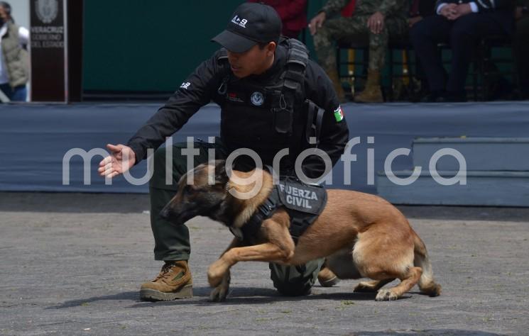 Por segundo año consecutivo, la Secretaría de Seguridad Pública (SSP) imparte el Diplomado Internacional Táctico K9 Perros Multipropósito y ratifica a Veracruz como referente en la formación policial, brindando técnicas de detección de narcóticos, explosivos, búsqueda de personas, guardia y protección, intervenciones terrestres y acuáticas, operaciones aeromóviles y proximidad ciudadana.

