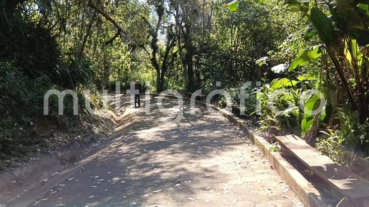 Ambientalistas piden proteger el Cerro de Macuiltépetl de la ciudad de Xalapa y de esta manera evitar que haya invasiones de más áreas verdes.

