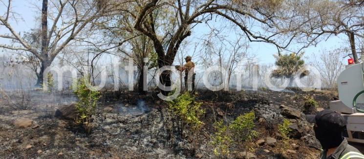 Con un 100 por ciento de control y 90 por ciento de liquidación se lograron asegurar las áreas siniestradas pero continúan en vigilancia permanente para evitar reactivaciones.