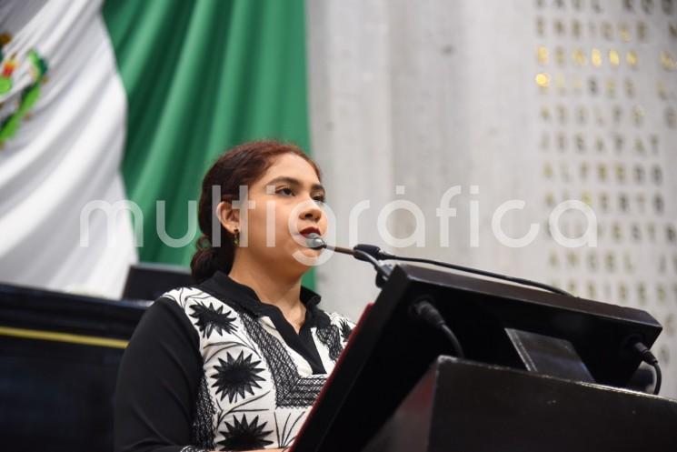 La diputada Tania María Cruz Mejía y el diputado Ramón Díaz Ávila presentaron al Pleno del Congreso del Estado la iniciativa que busca establecer la imposición de uno a tres años de prisión, hasta cien días de trabajo en favor de la comunidad y 150 UMA, a quien imparta u obligue a otra persona a recibir una terapia de conversión o de esfuerzos para corregir la orientación sexual e identidad de género.

