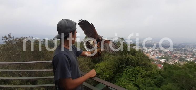 El patronato del Museo Comunitario de la Fauna de Veracruz, ubicado en el Cerro de Macuiltépetl, busca firmas de apoyo en la plataforma de Change.org, pues el Ayto. de Xalapa les ha pedido desalojar, con lo que se perdería este sitio de atracción y aprendizaje.