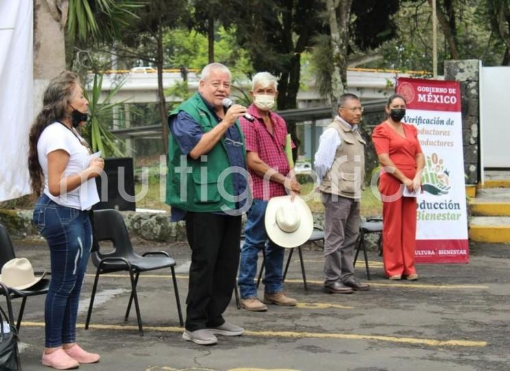 Continúan los operativos de pago a 30 mil agricultores de granos básicos, beneficiarios del Programa de Producción para el Bienestar, informó el Delegado de Programas para el Desarrollo