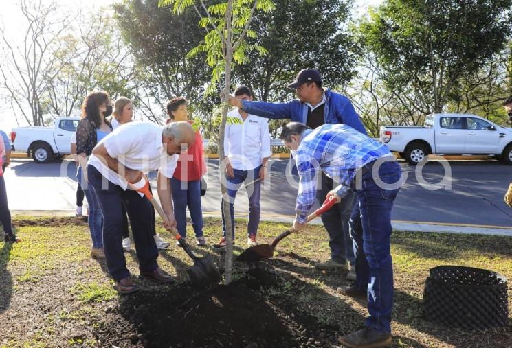 Con reforestaciones y pláticas informativas, el Ayuntamiento de Xalapa conmemorará del 5 al 10 de junio el Día Mundial del Medio Ambiente en distintos espacios de las zonas rurales y urbanas del municipio.

