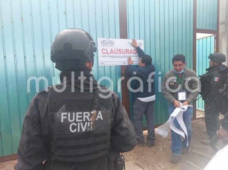 Como resultado de los operativos permanentes para combatir la tala clandestina en la región del Cofre de Perote, la Procuraduría Federal de Protección al Ambiente (PROFEPA) en coordinación con la Secretaría de Seguridad Pública (SSP) registran la clausura de cinco aserraderos y mil 174 metros cúbicos de madera asegurados.

