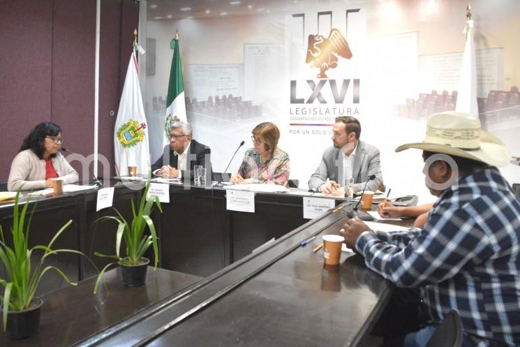 La Comisión Permanente de Gobernación llevó a cabo audiencias privadas de carácter conciliatorio con autoridades de los municipios de Ayahualulco, Filomeno Mata y Mecatlán, a quienes exhortaron a conocer y observar la ley y a trabajar de manera responsable, respetuosa y en estrecha colaboración.