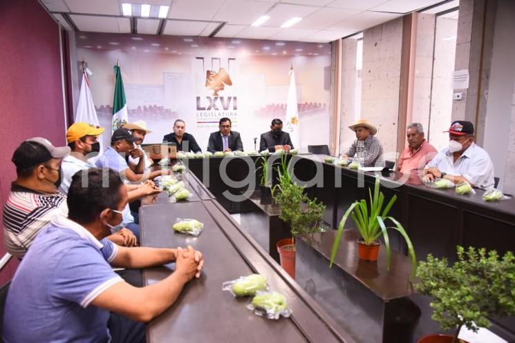 El presidente de la Comisión Permanente de Desarrollo Agropecuario, Rural y Forestal, diputado José Magdaleno Rosales Torres, recibió a productores de chayote de las regiones de Actopan, Coscomatepec e Ixtaczoquitlán, con quienes dialogó y concretó acuerdos para avanzar en la mejora de las condiciones en que desarrollan su actividad.